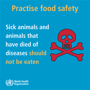 do not eat sick or dead animals