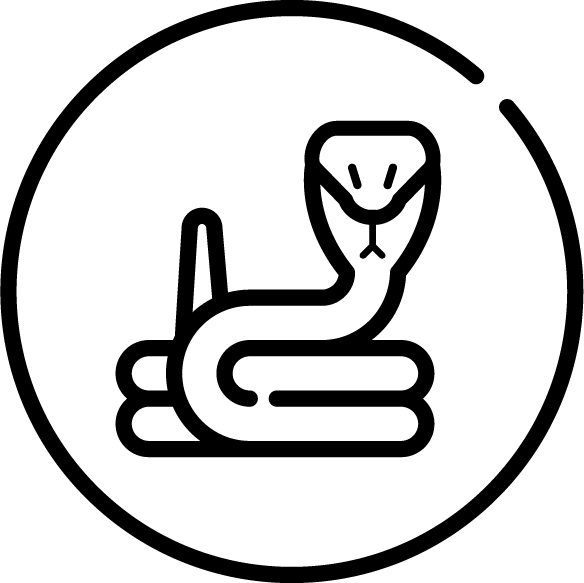 Snakebite icon