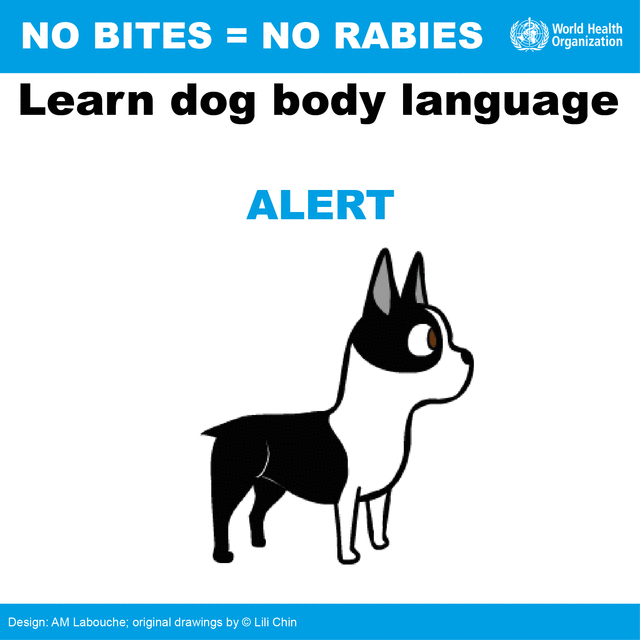 Rabies dog language