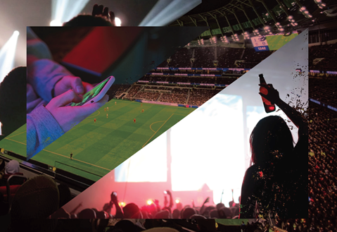 Summary: Reducing the harm from alcohol by regulating cross-border alcohol marketing, advertising and promotion