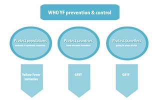 yellow fever prevention and control chart