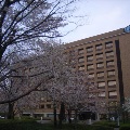 JPN-50_building_spring